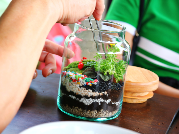 Bay Area - closed terrarium Shot