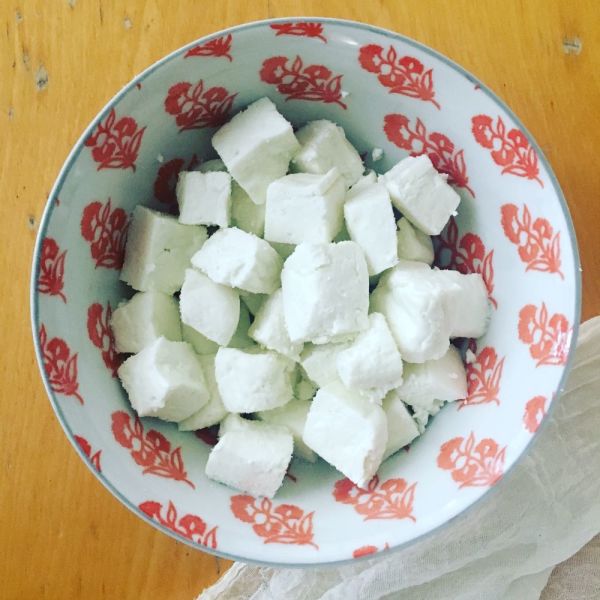 FarmSteady Goat Cheese Making Kit 5