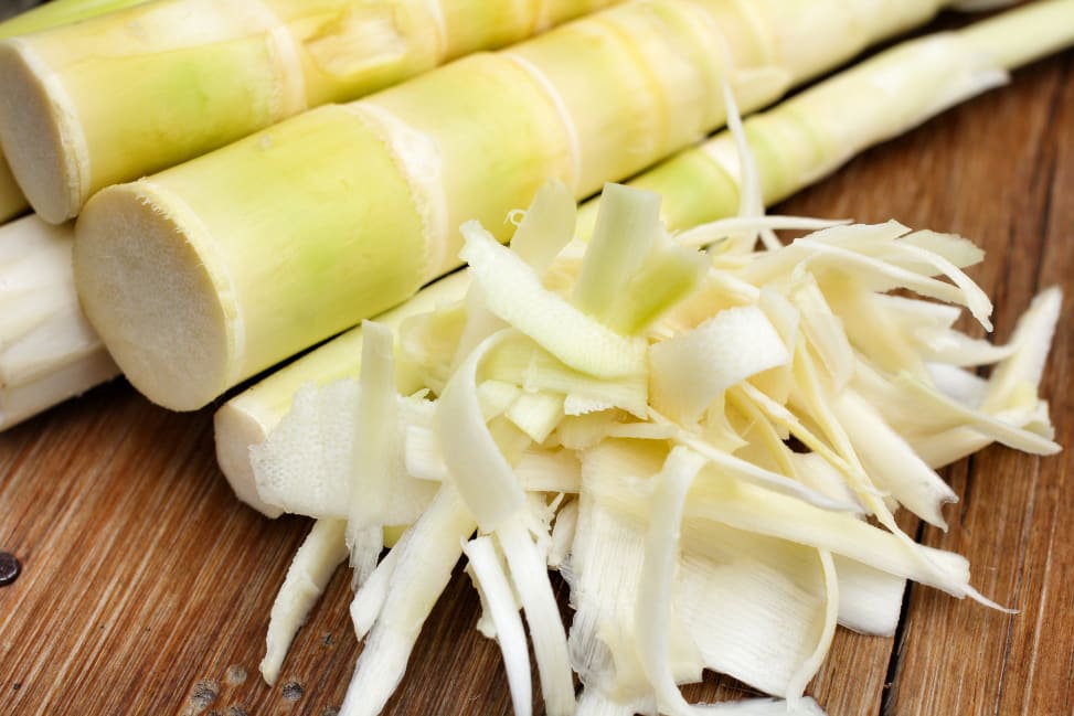 San Diego - bamboo shoots Shot 1