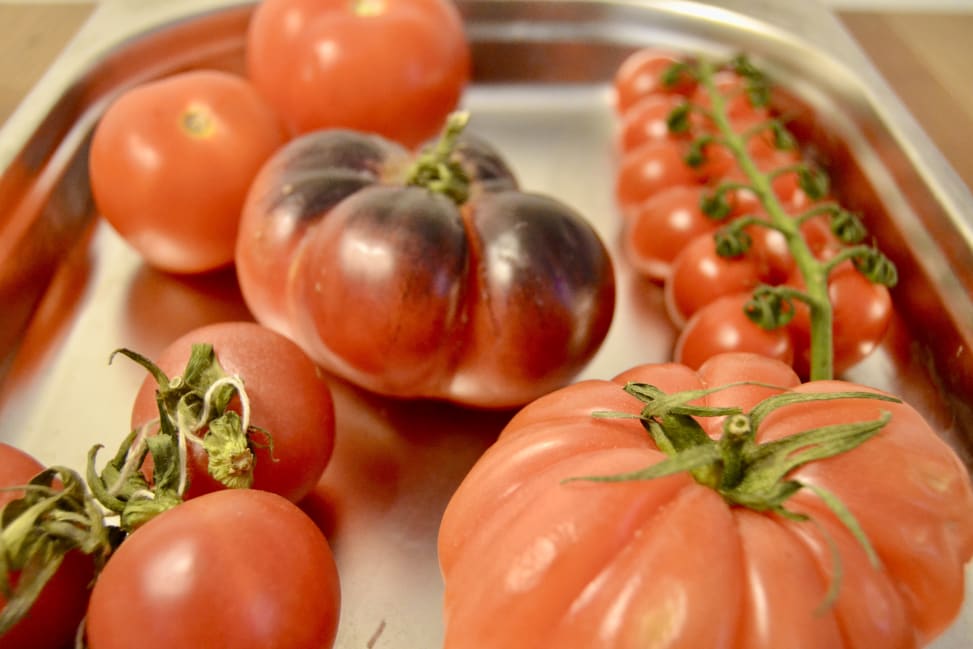 New Jersey - TOMATOES.jpeg Shot 4