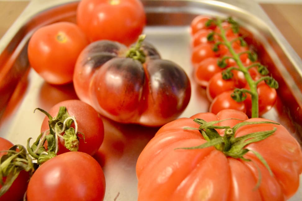 Colorado Springs - tomatoes Shot 3