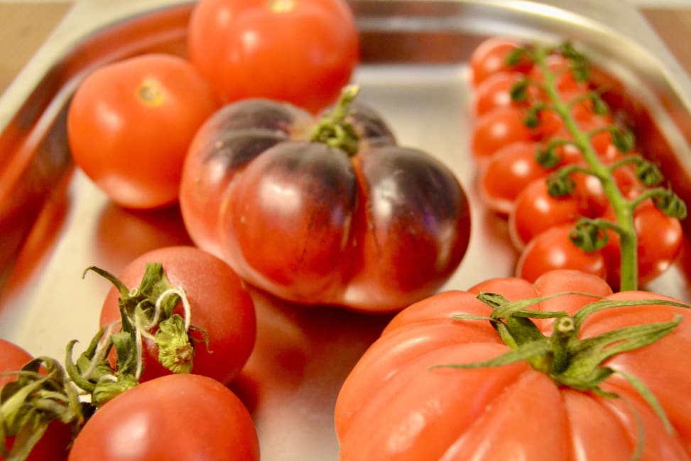 Boston - fresh tomatoes Shot 1