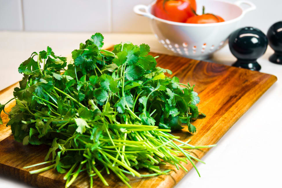 Boston - cilantro Shot 3