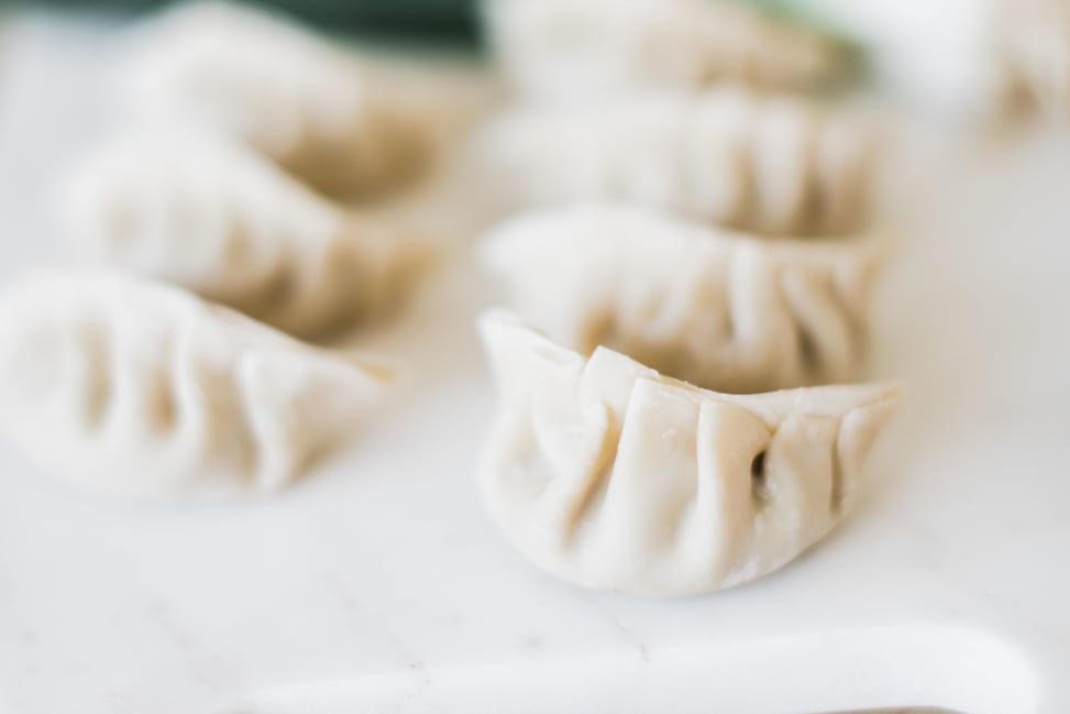 Chicago - handmade veggie dumplings Shot 1