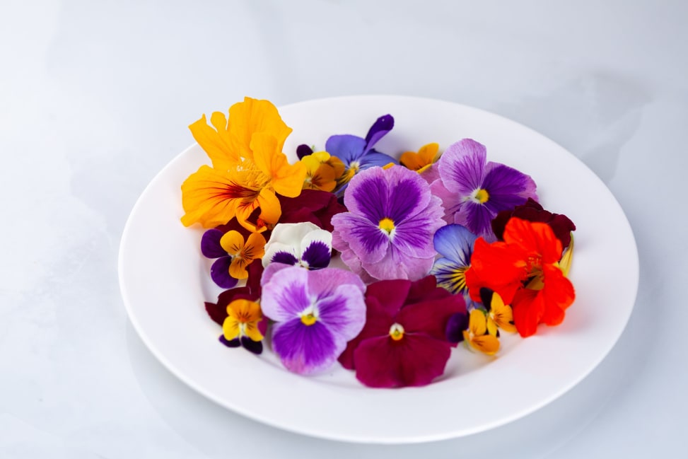 Baltimore - Raw Organic Edible Flowers Shot 4