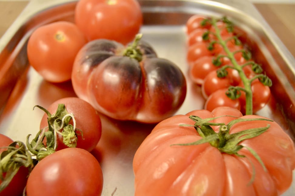 various variety of tomatoes | Classpop Shot 4