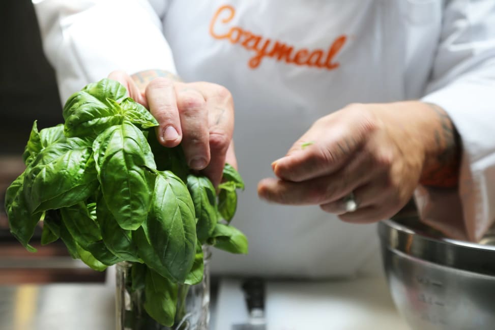 picking basil leaves | Classpop Shot 4