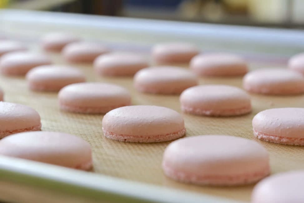 pink macarons | Classpop Shot 2