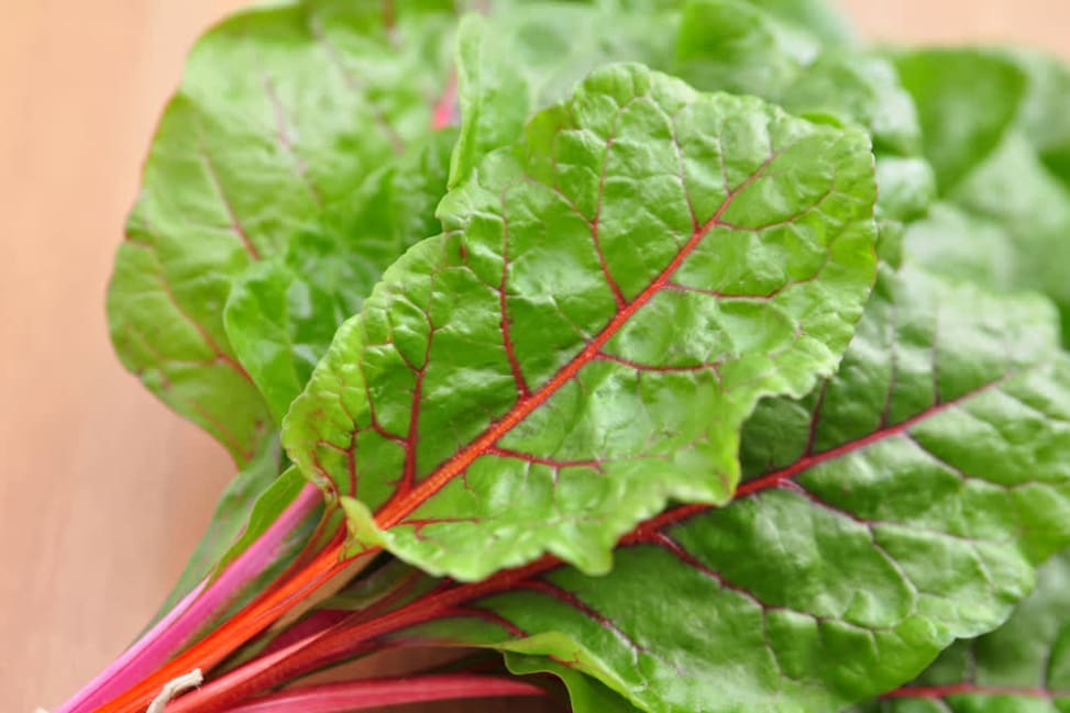 Rainbow Swiss Chard | Classpop Shot 3