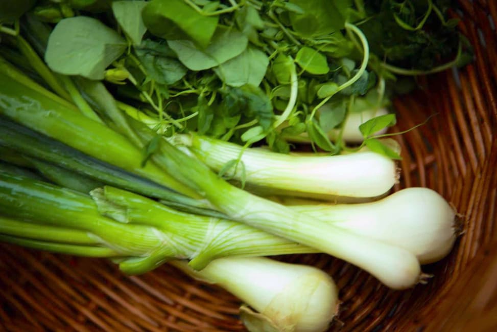 watercress | Classpop Shot 2