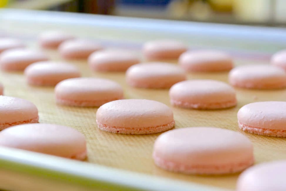 pink macaron shells | Classpop Shot 4
