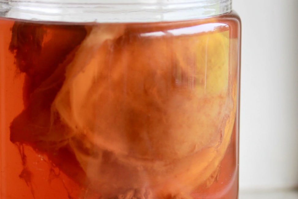 making homemade kombucha | Classpop Shot 4