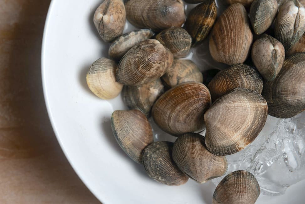 fresh clams | Classpop Shot 4