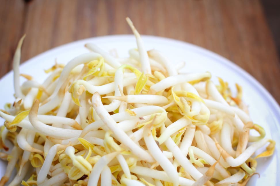 San Diego - bean sprouts Shot 3