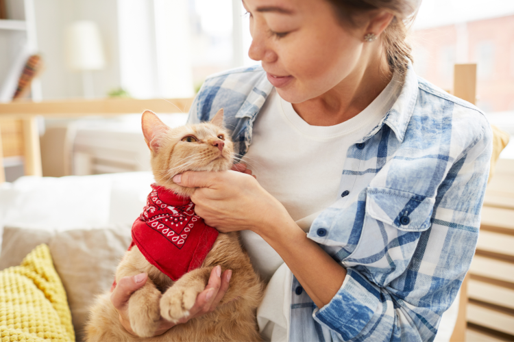 Personalized Mug - Funny Cat Butt - I love you DAD a hole lot