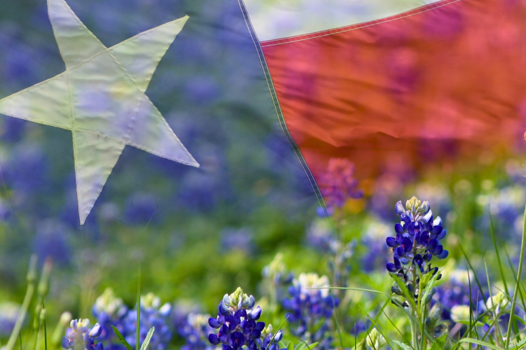 Texas Gifts, 29 Best in 2024