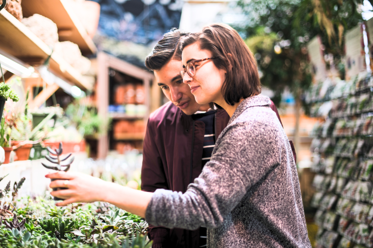 date ideas in Winnipeg