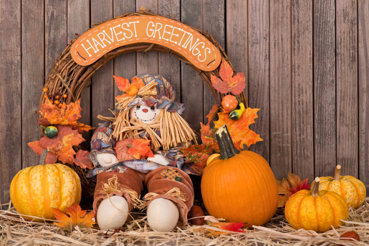 Thanksgiving Decoration Ideas