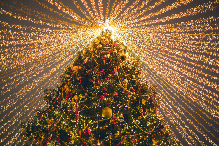 Christmas lights shows