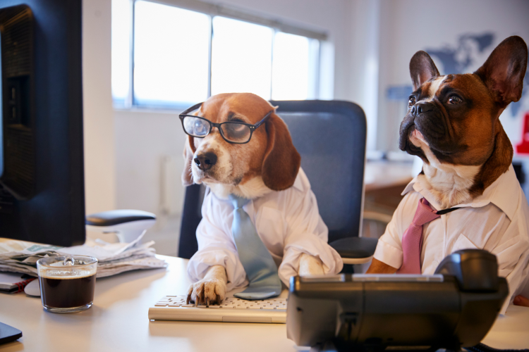 work culture
