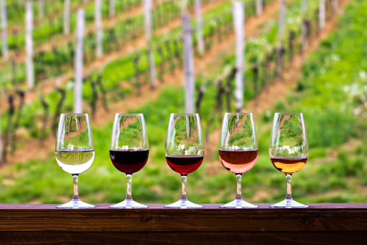best wineries in napa