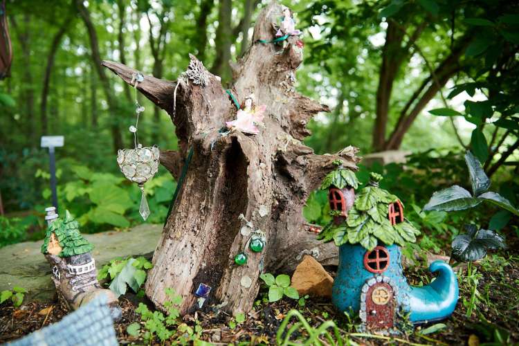 fairy garden ideas