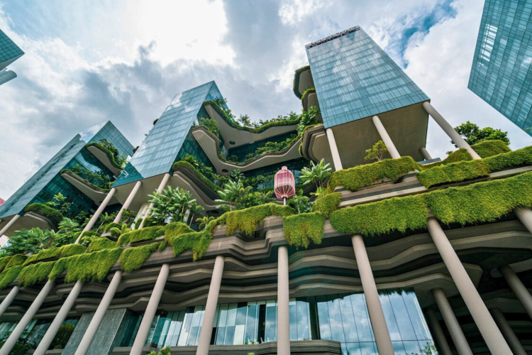 biophilic design