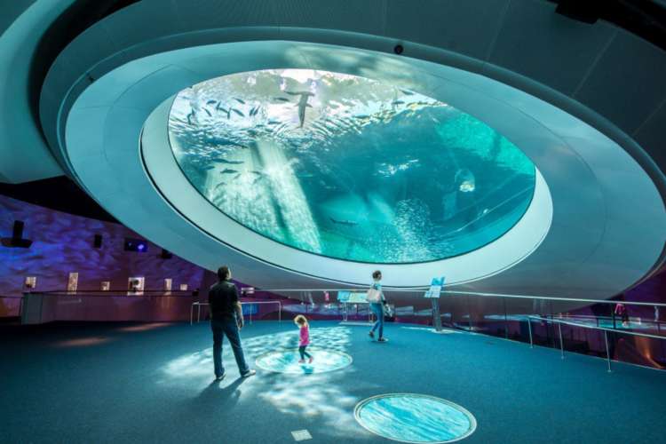 things to do in miami with kids​