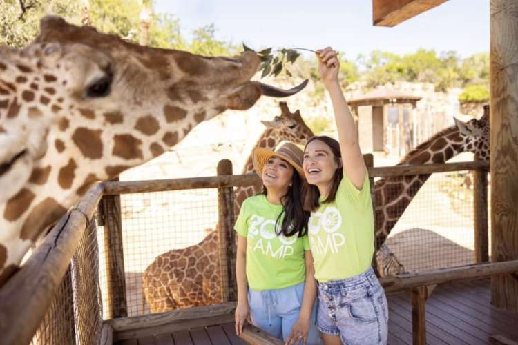 things to do in san antonio with kids​
