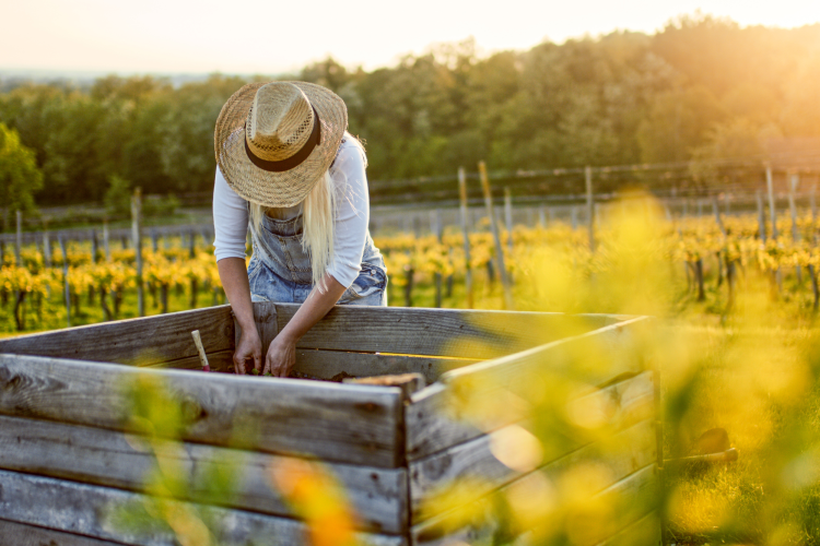 raised garden ideas