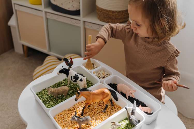 sensory bins​