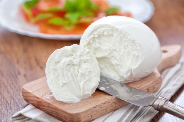 mozzarella cheese