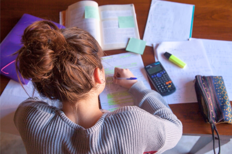 who invented homework​