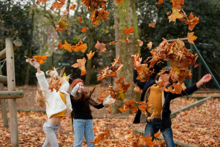 fall activities
