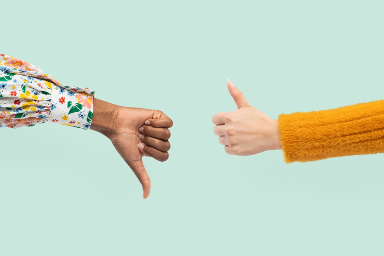 true or false questions