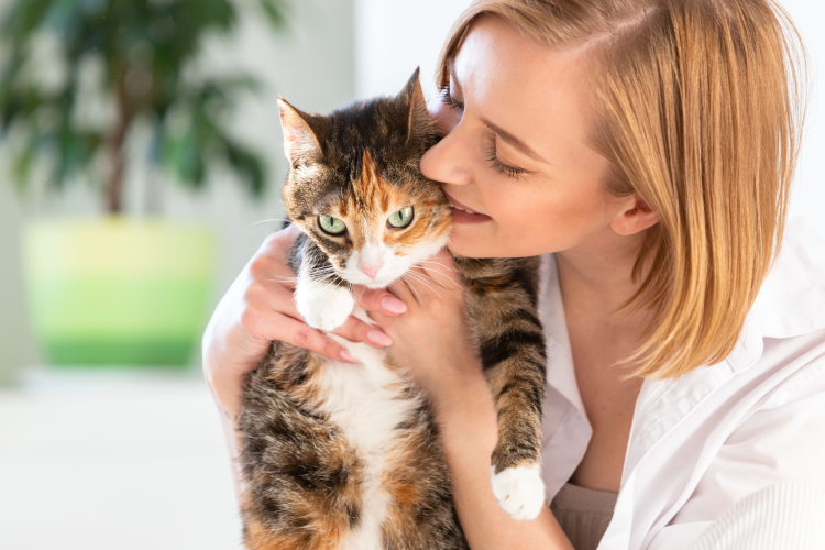gifts for cat lovers