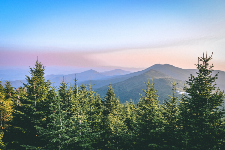 north carolina gifts