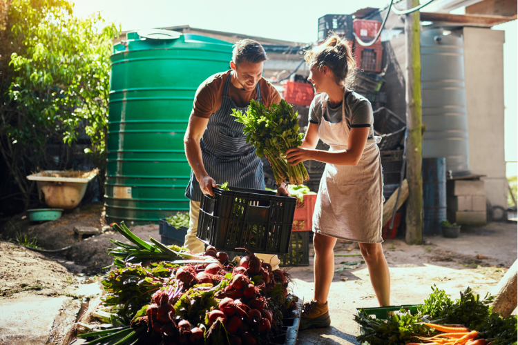 zero waste lifestyle