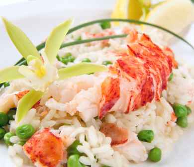 Private Chef - The Essence of the Coast - 4