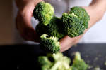 chef's hands holding broccoli Shot