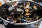 mussels | Classpop Shot