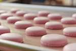 Macaron Shells | Classpop Shot