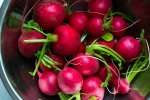 fresh radishes | Classpop Shot