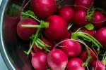 Radishes in a silver bowl | Classpop Shot