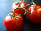 Cooking Class - Seafood With a Mexican Twist: fresh tomatoes