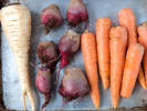 Cooking Class - French Gourmet Dinner in Philadelphia: root vegetables
