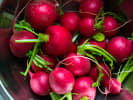 Cooking Class - Fermentation, Pickles and Preserves in Hollywood Area: radishes