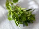 Cooking Class - Herbaceous Chicken Dinner: fresh thyme