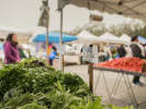 Marketing Tour + Cooking Class - Farmhouse Lunch in San Francisco: herbs