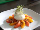 Team Building Cooking Class - Farmers Market Favorites in Brooklyn: tomato and burrata salad